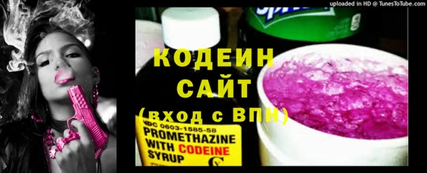 трава Белокуриха