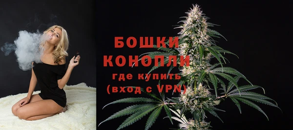 спайс Баксан