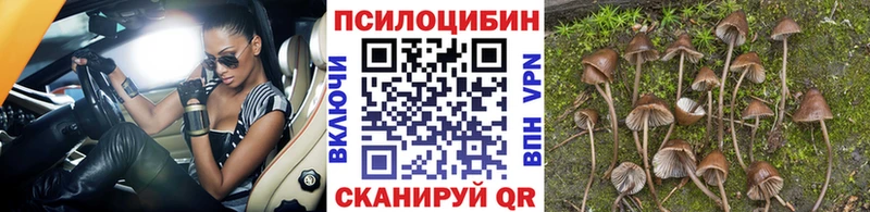 Галлюциногенные грибы Cubensis  Мещовск 